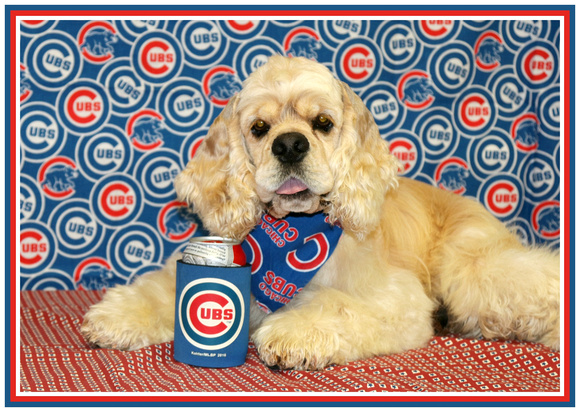 Ruger "rootin' for the Cubbies October 2017"