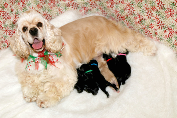 Annie is very proud of her babies!